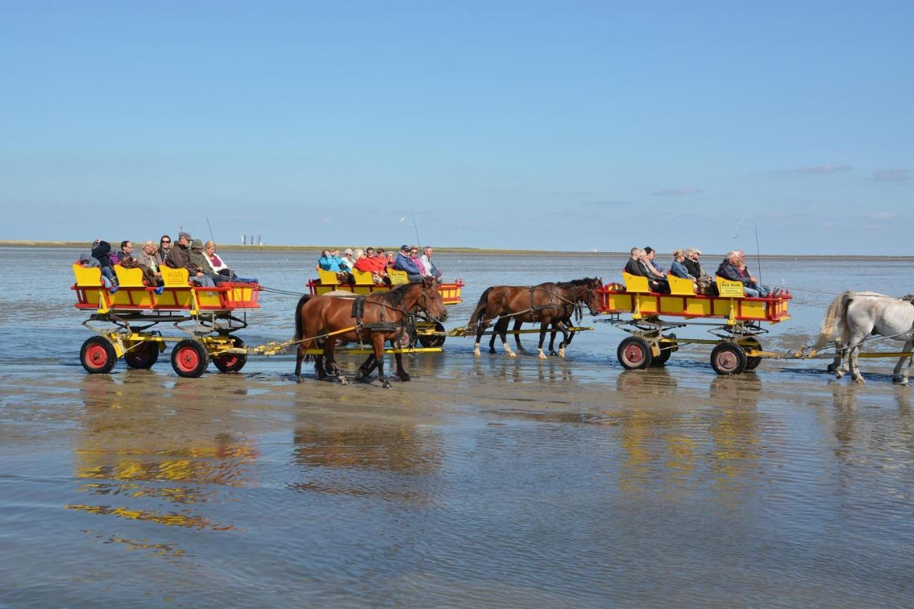 Luettje Huus Frieda Mit Strandkorb Am Strand Von Mai Bis September Cuxhaven Exterior photo